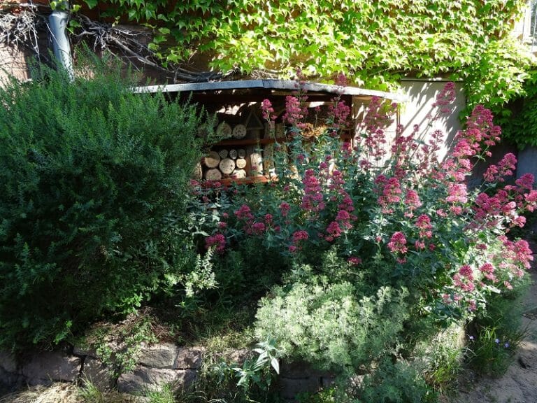 Kita Garten